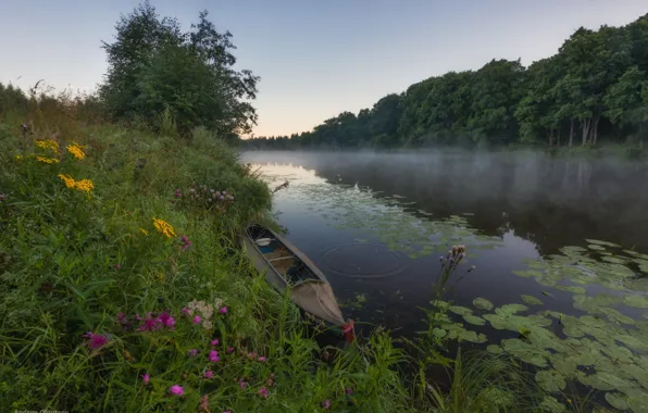 Picture summer, grass, trees, flowers, river, boat