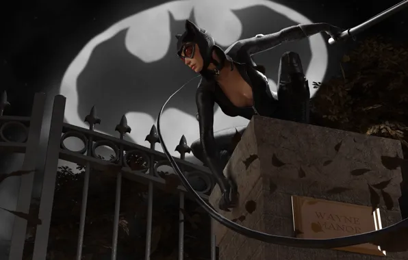 Catwoman, DC Comics, Catwoman, Selina Kyle, Bat-Signal, Wayne Manor