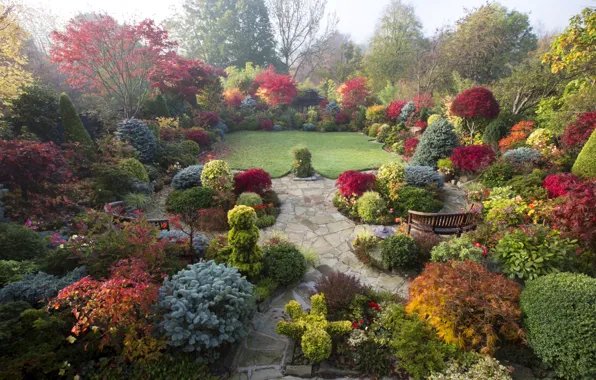 Autumn, trees, flowers, design, fog, lawn, England, garden