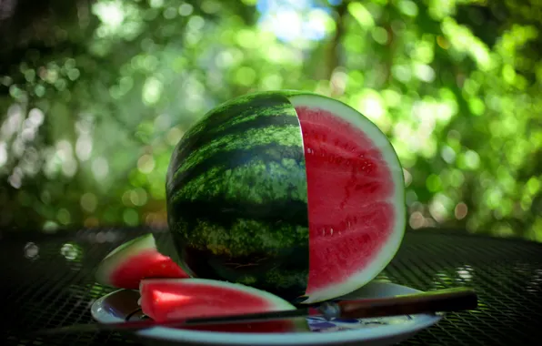 Picture summer, watermelon, bokeh