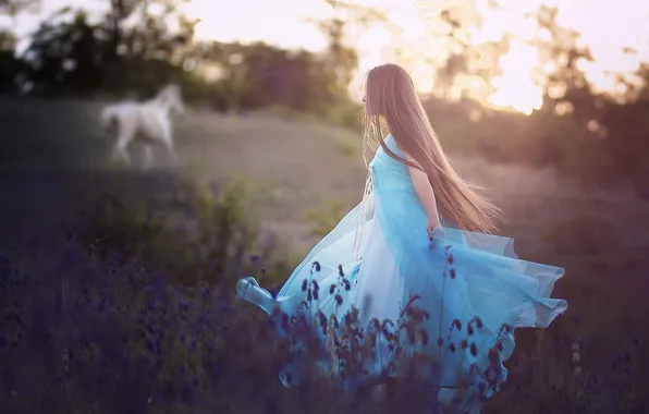 Field, girl, horse, horse, blue dress