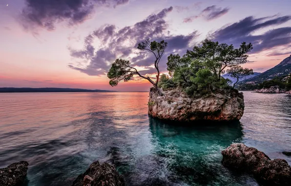 Sea, trees, landscape, sunset, mountains, nature, stones
