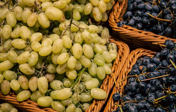 Harvest, grapes, a lot