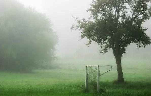 Picture field, fog, sport, gate