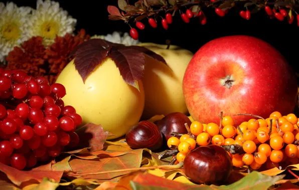 Autumn, leaves, flowers, apples, still life, chestnut, Kalina, sea buckthorn