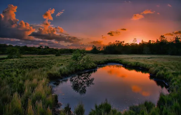 Grass, sunset, puddle, 154