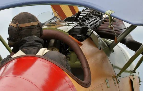 Fighter, cabin, pilot, The first world war, replica, Albatros D. VA