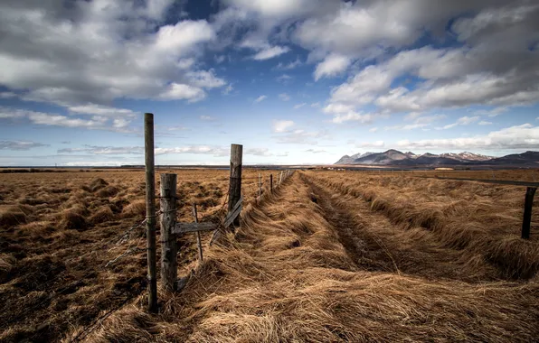 Field, landscape, the fence