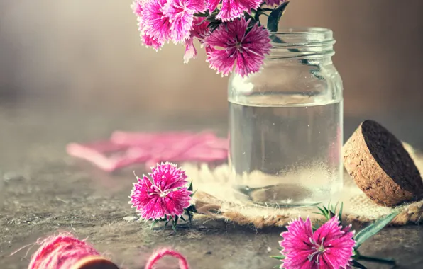 Flowers, jar, clove, coil