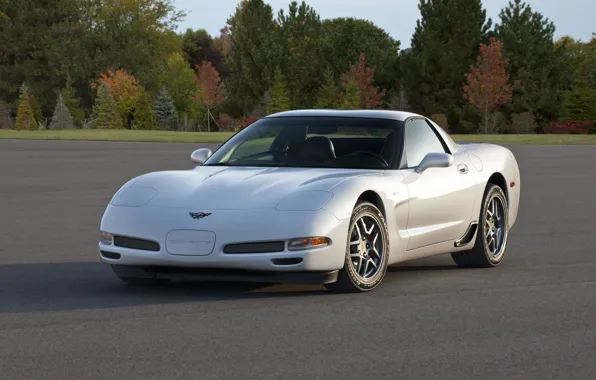 Picture Corvette, Chevrolet, 2001