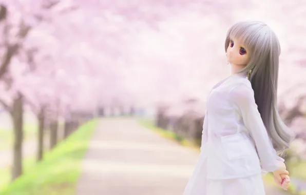 Hair, doll, Sakura