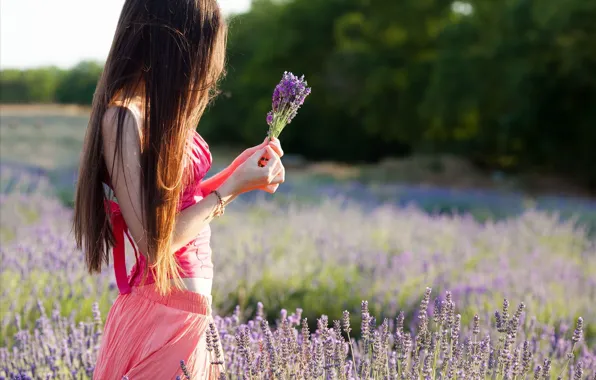 Picture field, summer, girl, flowers