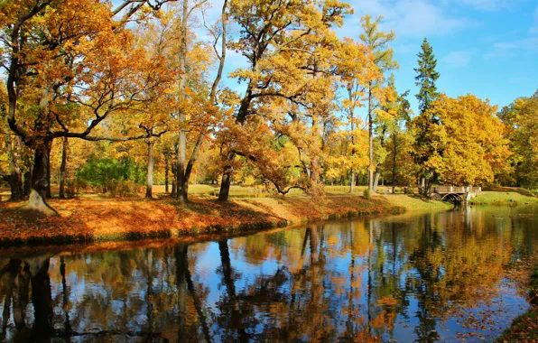 Picture autumn, leaves, water, the sun, trees, bridge, pond, Park