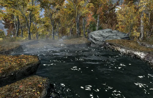 Trees, lake, trees, lake, skyrim, Skyrim, tes 5