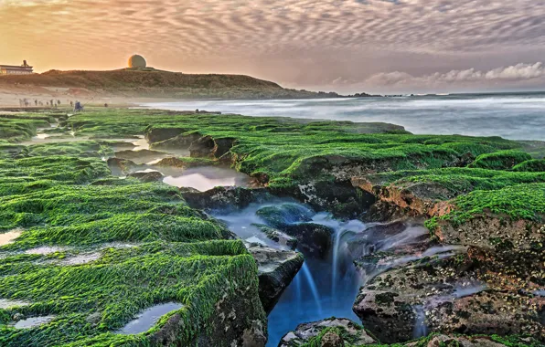 Picture sea, the sky, the sun, clouds, algae, stones, coast, Taiwan