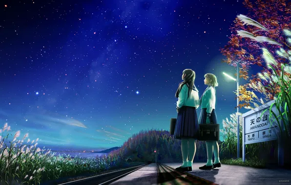 Road, stars, night, nature, girls, sign, anime, art