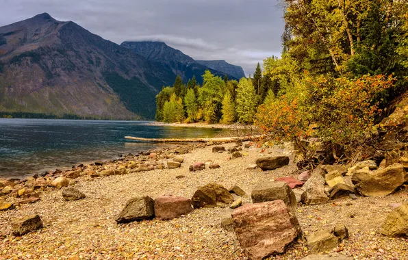Autumn, trees, mountains, lake, stones, shore, Glacier National Park, Montana