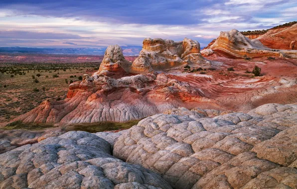 Landscape, nature, rocks, canyon