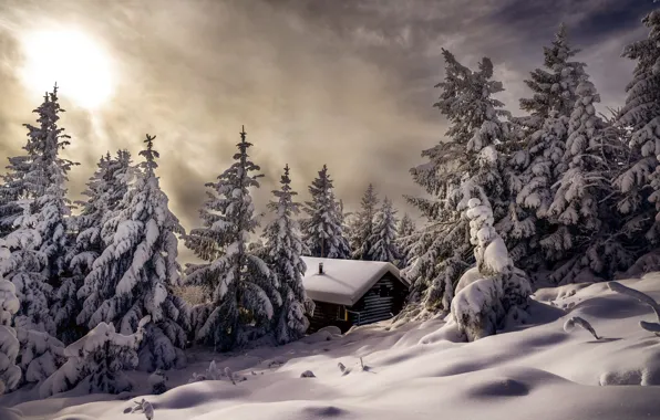 Picture winter, snow, trees, landscape, nature, house, ate, slope