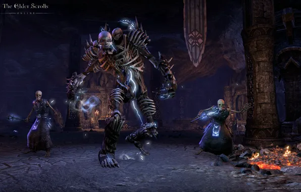 Skeleton, dungeon, teso, skeleton mage, barefoot