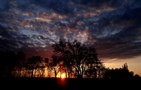 The sky, clouds, trees, sunset