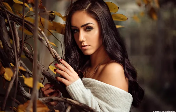 Picture look, leaves, branches, pose, model, portrait, makeup, hairstyle