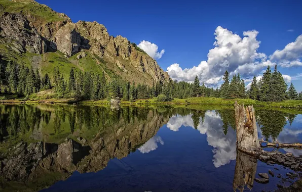 Trees, mountains, lake, reflection, river