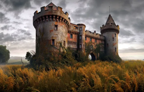 Field, the sky, grass, clouds, castle, overcast, thickets, fantasy