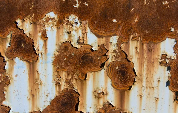 Picture background, rust, metal