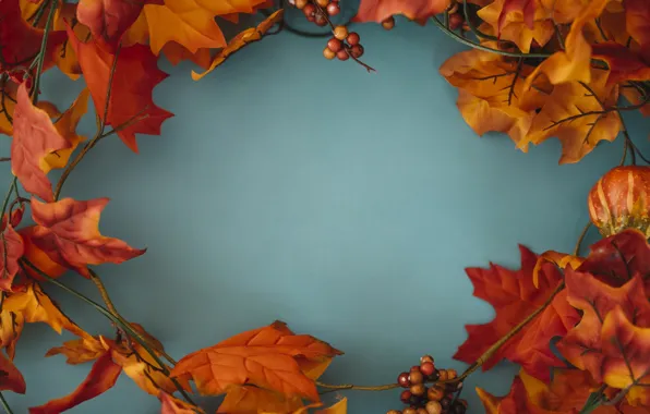 Picture autumn, leaves, background, tree, colorful, maple, wood, background