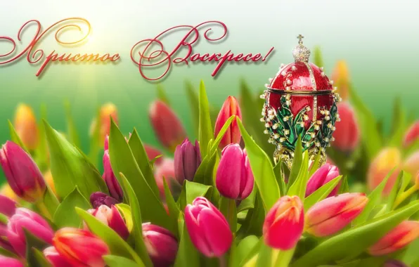 Flowers, holiday, egg, Easter, tulips