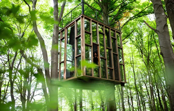 Picture Girl, Trees, Tree house, Belgian Ardennes, Glass cabin, Belgian Ardennes, Glass House, Luxury shelter