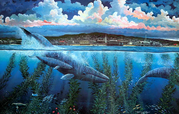 Sea, water, clouds, fish, algae, nature, the city, shore