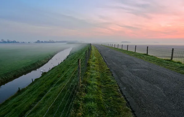 Road, field, sunset
