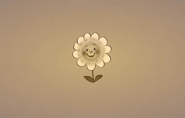 Picture flower, smile, plant, minimalism, Daisy, leaves, dark background