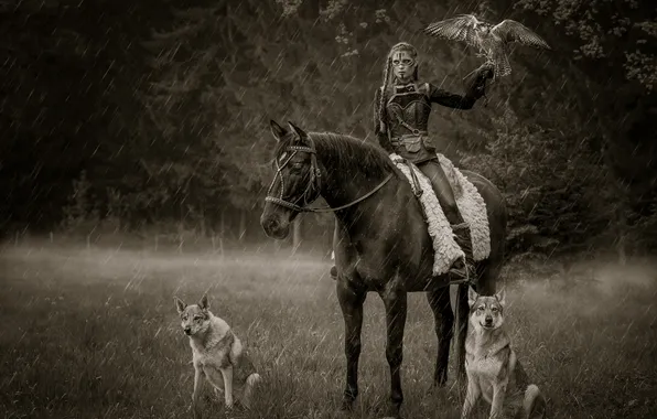 Forest, dogs, girl, pose, horse, bird, horse, fantasy