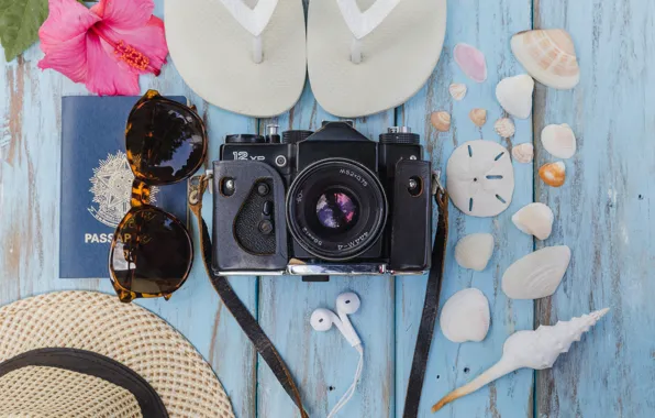 Picture sea, flower, background, stay, hat, glasses, the camera, shell