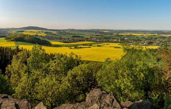 The sky, the sun, trees, field, home, Germany, panorama, Saxony