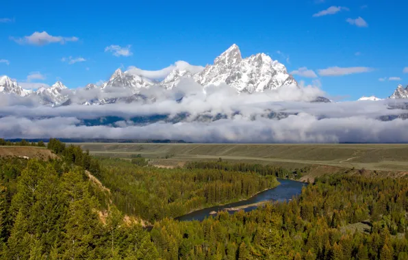 Picture forest, the sky, clouds, snow, mountains, river