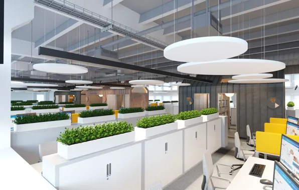 Design, interior, the room, equipment, OpenSpace