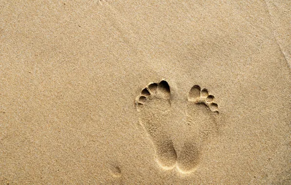 Sand, traces, background