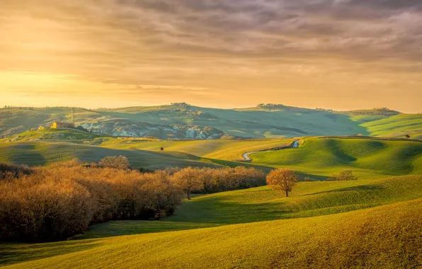 Field, autumn, clouds, trees, hills, field, dal, shadows