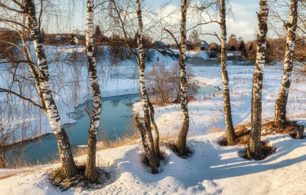 Picture snow, trees, landscape, nature, home, spring, village, birch