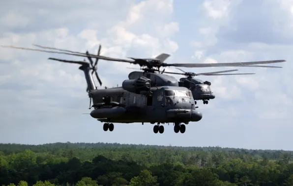 Forest, flight, helicopter