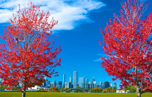 Autumn, the sky, grass, leaves, trees, the city, Chicago, USA