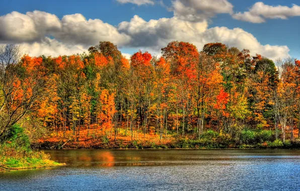 Picture autumn, nature, river, paint, HDR