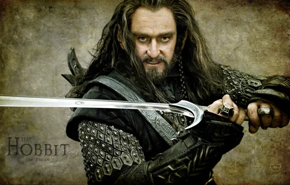 Warrior, sword, The hobbit, Richard Armitage, Torin Oakenshield, hobbit, Richard Armitage