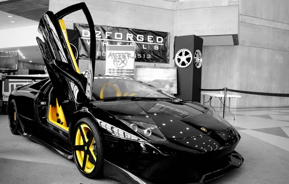 Lamborghini, the door, black, vertical, Murcielago