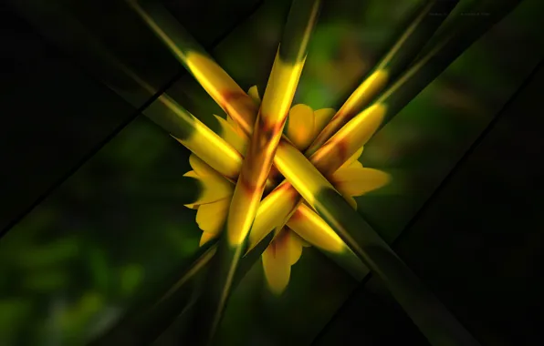 Picture line, rendering, paint, the volume