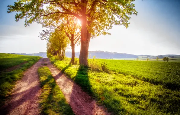 Field, summer, the sun, rays, nature, trail, track, summer